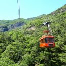 춤새마을 이미지