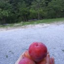 진고개계곡야영장 이미지