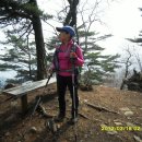 동막농장 이미지