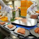 오베르망 이미지