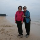 대천해수욕장 이미지