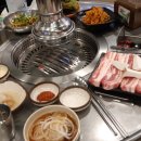 돈마니마니홍보관 이미지