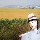 허수아비 이미지