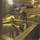 대근농장 이미지