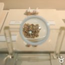 보물섬마늘나라 이미지