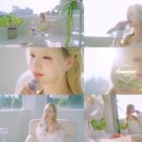 리즈 뉴스1