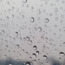 리안헤어동림
