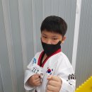 덕소 용인대 도곡태권도장 | 태권도 국기원 단증 승품(단) 특별 심사에서 일반 심사로 변경됩니다