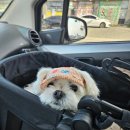 유림동물병원 이미지