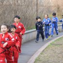 백호태권도 이미지