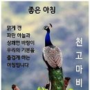 한주 이미지
