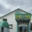 GS25청라레이크봄점 | 3월 일기