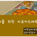 [마감]교사를 위한 타로교육 평일중급반 이미지