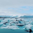 블루아이스식당 | 아이슬란드 여행 6일차 | 남부투어 둘째 날 &amp; 레이캬비크 에어비앤비 숙소 후기