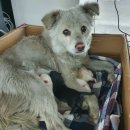 울동네세탁소 이미지