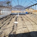 부산농장 이미지