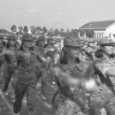 성남바다 이미지