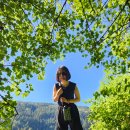 메이플 베이 (maple bay) 이미지