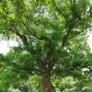 칠갑산자연휴양림 이미지