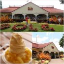 길상농장 이미지