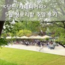 대덕로 | 당진 피어라 청보리밭 유명 합덕 카페 5월 주말 혼잡도 웨이팅 솔직 후기