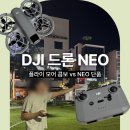 한국씨티에스 | 여행 브이로그 완성템, DJI Neo 사용법과 실제 촬영 후기