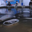 자바라실내낚시터 네이버블로그
