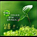그리스도의향기