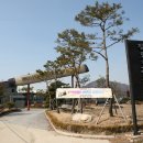 첼로와 거문고 이미지