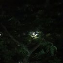 우금자락 이미지