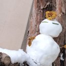 눈 오는 날은 체험학습으로 이미지