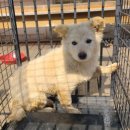 원두보건진료소 이미지