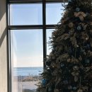 숲실의 집 이미지