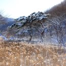 성주산자연휴양림 이미지