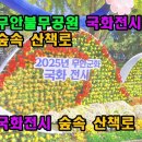 불무공원 Daum카페