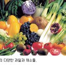 참자연음식연구소