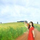 천북농장 이미지