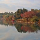 일산호수공원 이미지