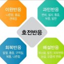 신사바디관리 셀핏체형관리 급찐급빠다이어트 아숭뷰티 후기