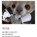 딸기라떼 ••