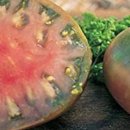 환이농장 이미지