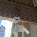 설레다 | [💍8] 제주 웨딩 스냅 촬영 후기(야외) / 연그라미 스냅 + 제주 설레다 메이크업 / 촬영 꿀팁 공유