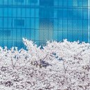 아치울마을입구 사거리 이미지