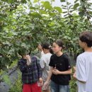 수신초등학교 병설유치원 이미지