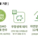 선농살림