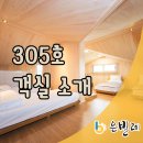 305펜션 이미지