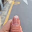 플러터 - 수성구 성동로 43 | 일본 러쉬 추천템｜큐티클 뜯는 사람이 만족한 레모니플러터 후기