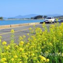 남해 금빛 이미지