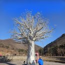 나라정원