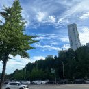 시月 | 2024年7月 후쿠오카 (1)
